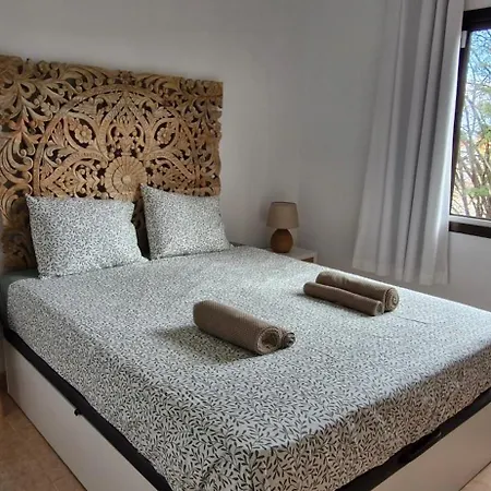 Casa Oliva Del Oasis Dunas 아파트 *